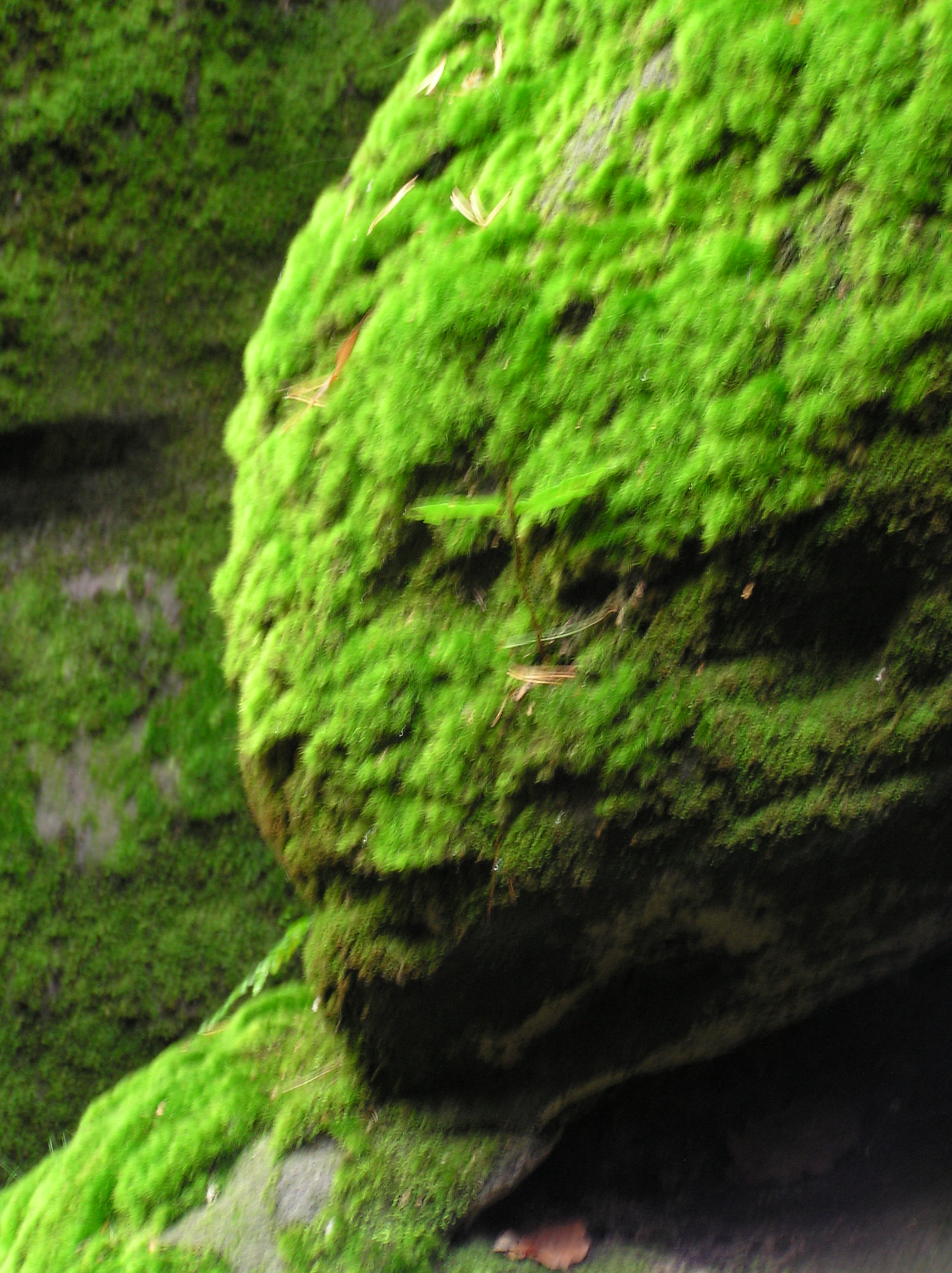 SG-Treff-043.jpg
