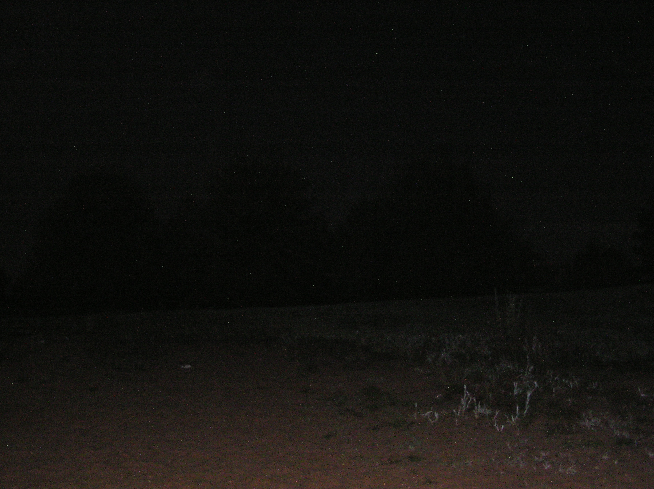 SG-Treff-078.jpg
